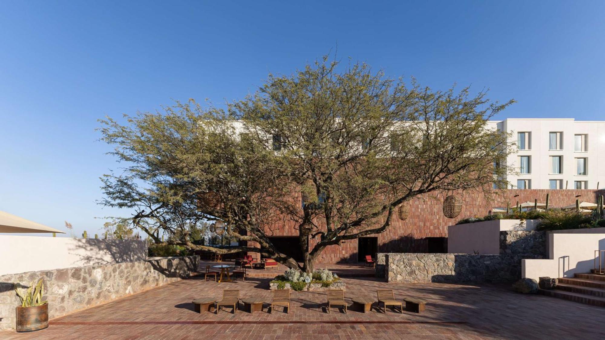 Albor San Miguel De Allende, Tapestry Collection By Hilton Exterior foto
